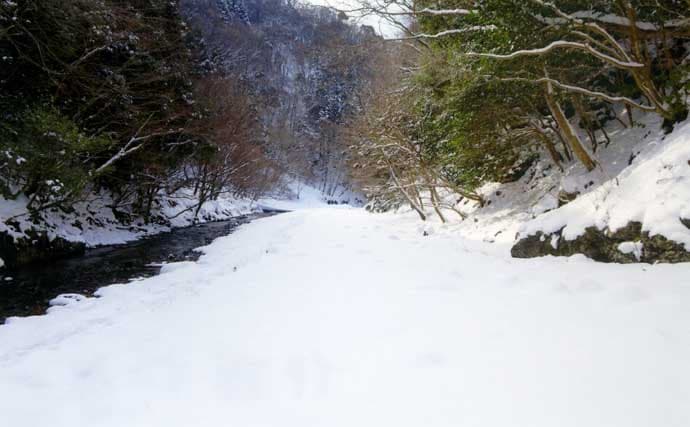 極寒の田村川で放流魚狙いの渓流釣り【滋賀】雪中ラン＆ガンで42cmのニジマス手中