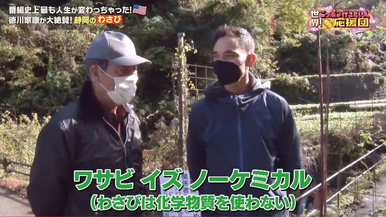 記事画像