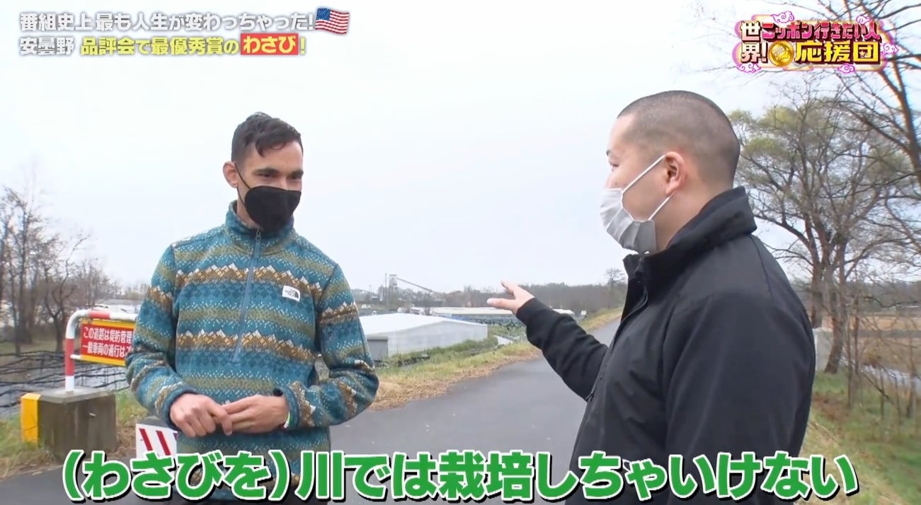記事画像