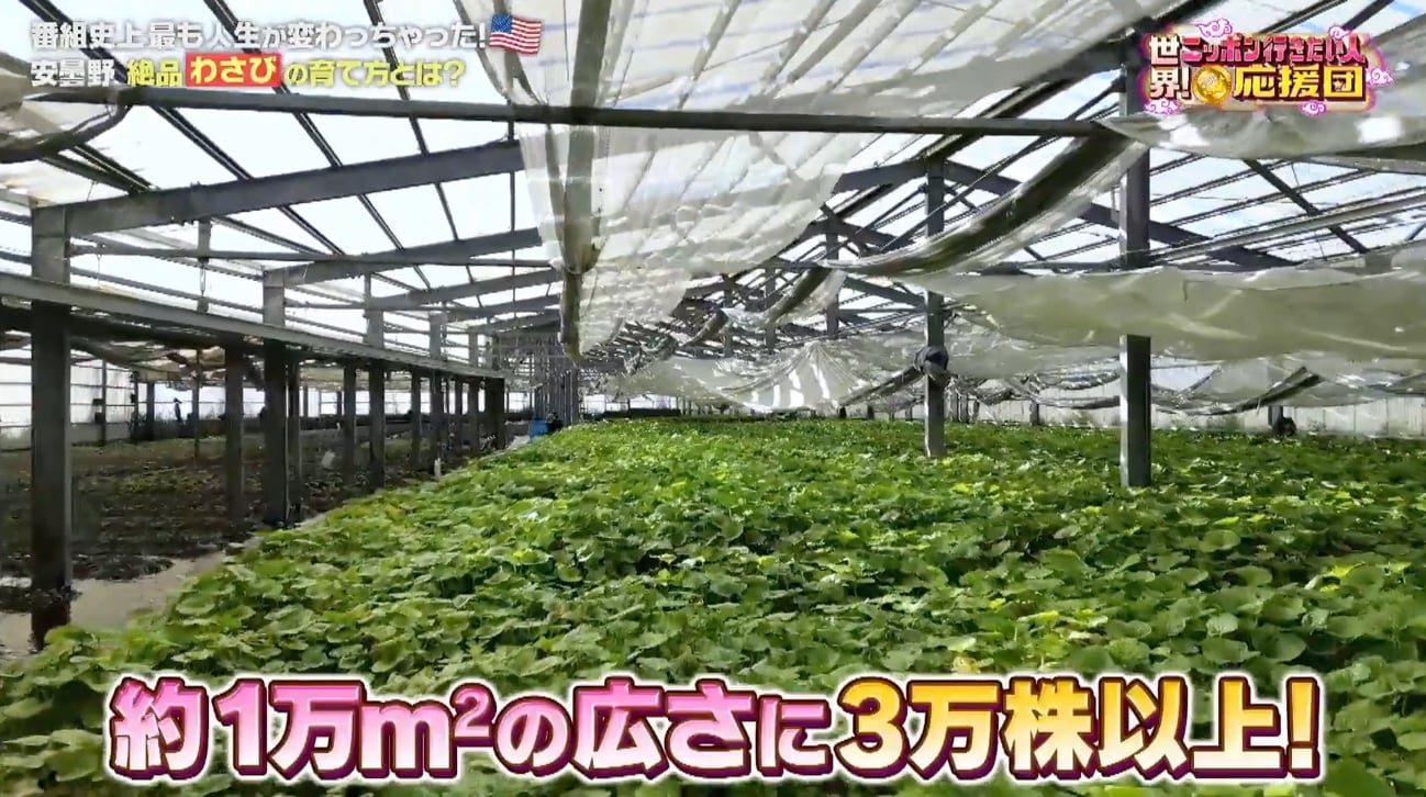 記事画像