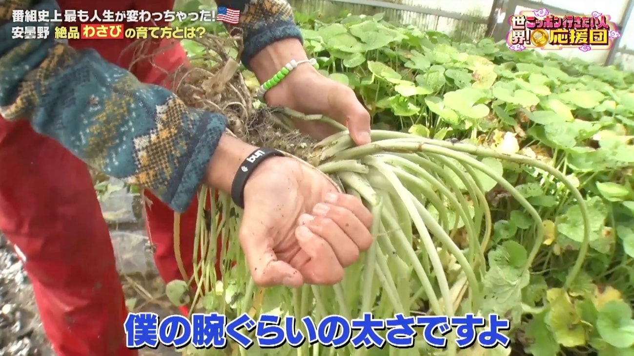 記事画像