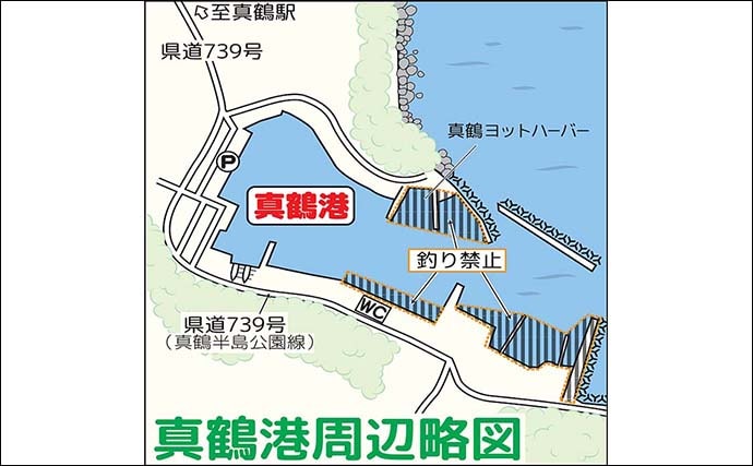 相模湾のファミリー向き釣り場【真鶴港・平塚新港・早川港】で竿を出してみた