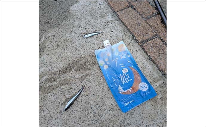 相模湾のファミリー向き釣り場【真鶴港・平塚新港・早川港】で竿を出してみた