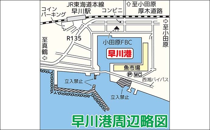 相模湾のファミリー向き釣り場【真鶴港・平塚新港・早川港】で竿を出してみた