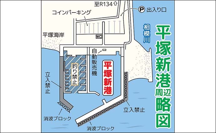 相模湾のファミリー向き釣り場【真鶴港・平塚新港・早川港】で竿を出してみた