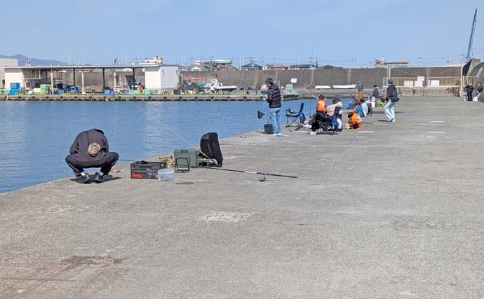 相模湾のファミリー向き釣り場【真鶴港・平塚新港・早川港】で竿を出してみた