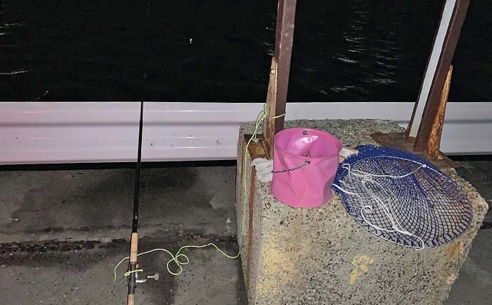 衣浦海底トンネルのエビまき釣りでスズキ70cm＆マダカ65cm浮上【愛知】クロダイ44cmも登場