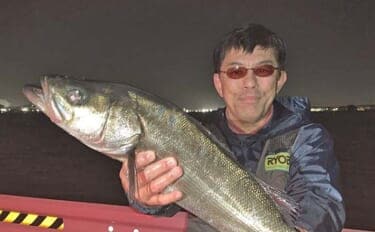 衣浦海底トンネルのエビまき釣りでスズキ70cm&マダカ65cm浮上【愛知】クロダイ44cmも登場