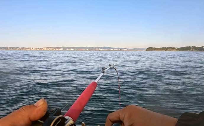 和歌山沖のアマダイ釣りで45cm超え登場！　浅場攻略で良型続出