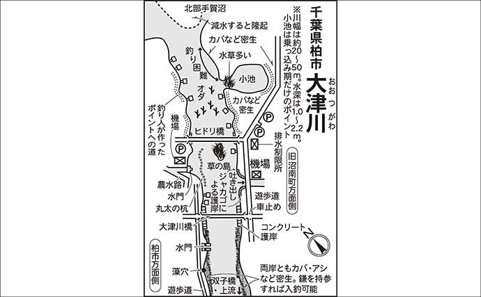 今週のヘラブナ推薦釣り場2026【千葉・大津川】
