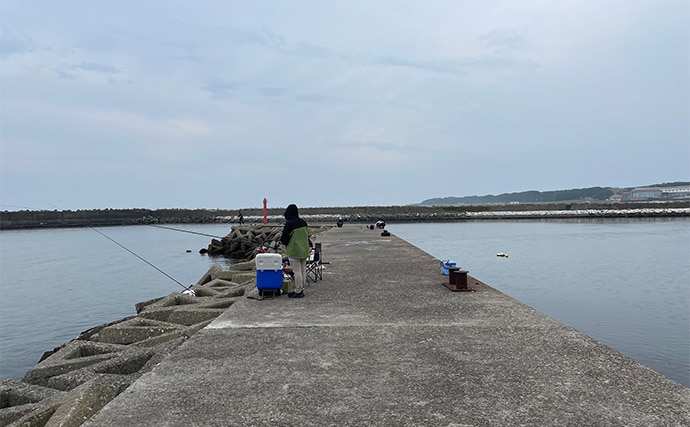 「超」釣り初心者が実際にした失敗3選　欲張りすぎは釣れない＆楽しくないかも