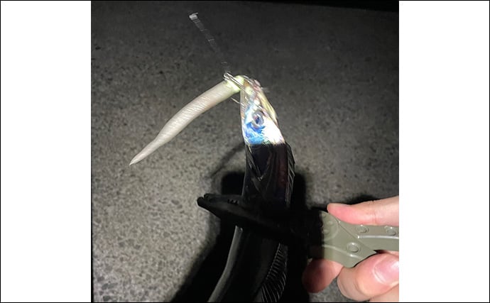 ライトショアジギング（LSJ）超入門　PEラインとリーダーってどう結べばいいの？