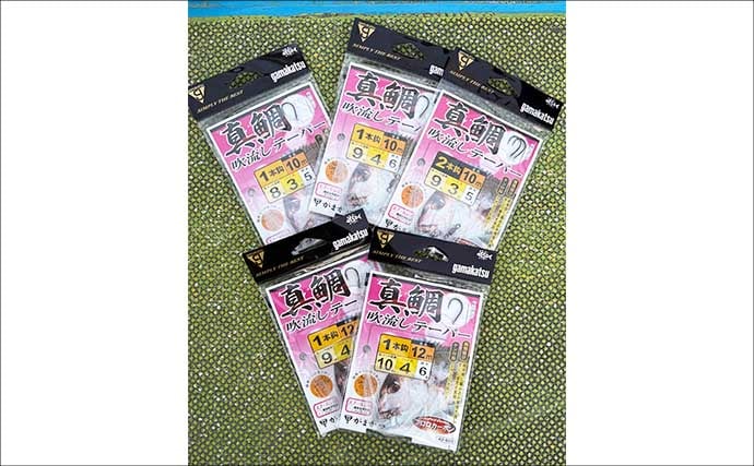 東京湾のコマセマダイ釣り完全解説　タックル・指示ダナ・誘いの基本を総まとめ