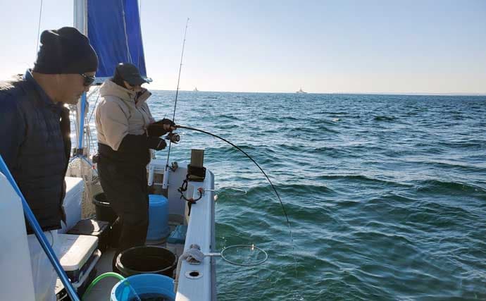 「まずはアジ確保から！」東京湾アジ泳がせ釣りで4.8kgワラサを手中【けやき丸】