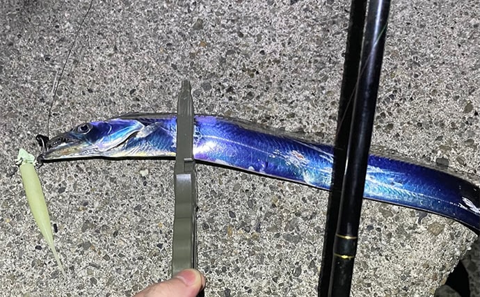 秋の青物回遊シーズンは一旦終了か　大阪湾沿岸ショアジギングの現状と今後