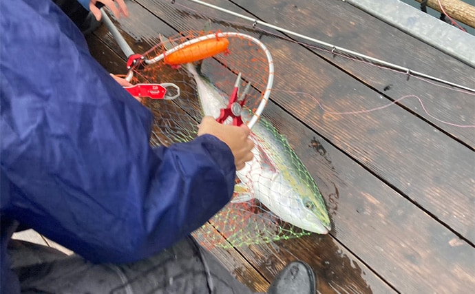 仲間と貸切で海上釣り堀を満喫【正徳丸】青物不発もマダイ・シマアジ・ヒラメを手中