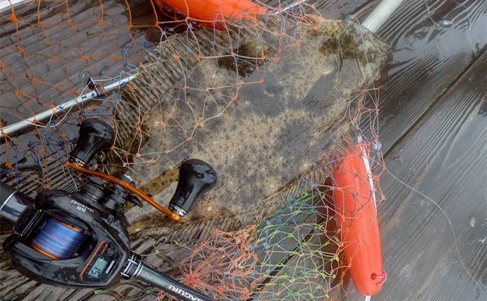 仲間と貸切で海上釣り堀を満喫【正徳丸】青物不発もマダイ・シマアジ・ヒラメを手中