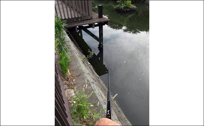 「潮変化を読んで良型連発！」佃堀のハゼ釣りで37尾キャッチ【東京・中央区】