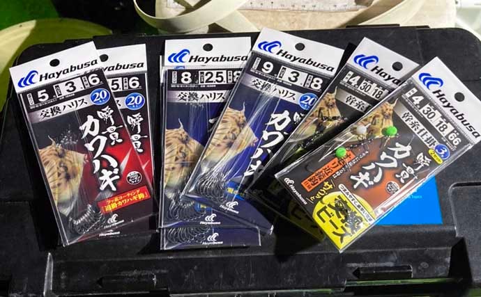 秋の船カワハギ釣りで本命と対面成功【愛知・おざき丸】ゼロテンション後の空アワセで連発