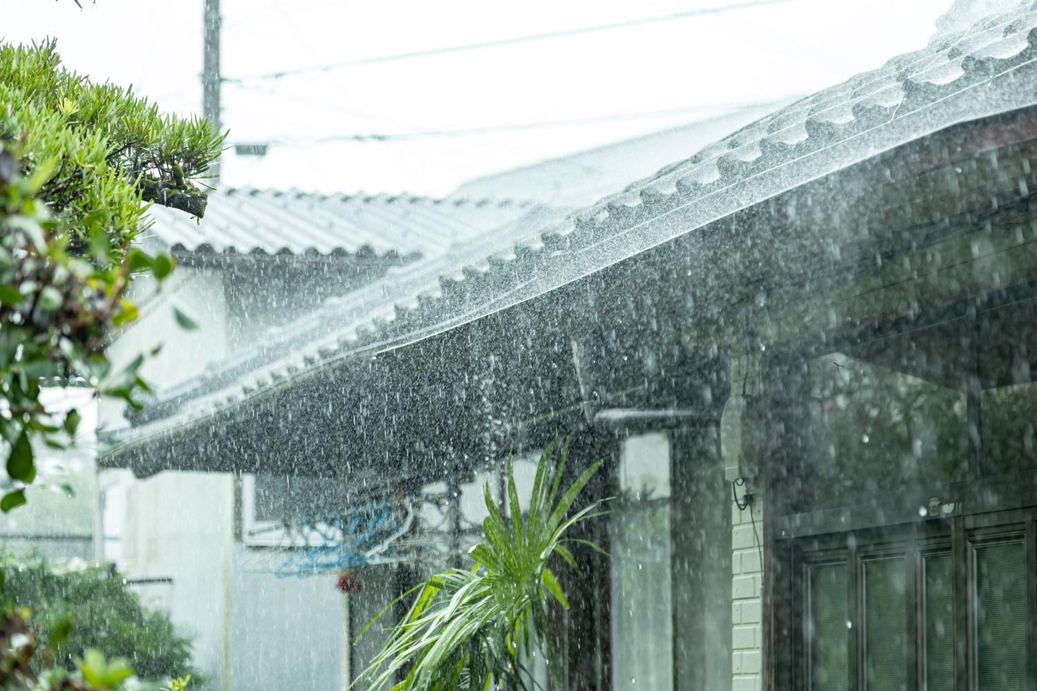 今年の梅雨は大雨？夏の猛暑は？異常気象の権威に“日本の気候がおかしいワケ”を聞く