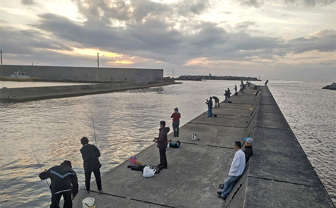 相浜港のサビキ釣りで30cm超えの良型アジが連発！【千葉】フカセ釣りではクロダイもヒット