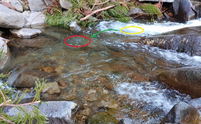 「竿抜けポイント」の発見が釣果の決め手！ 渓流エサ釣りで釣果アップ術