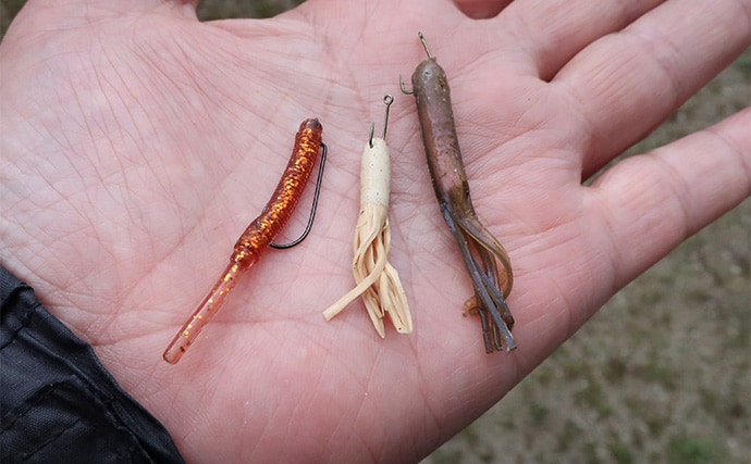 厳寒期のルアー釣りでカサゴが連発！チューブワームのダートアクションに好反応【岡山】