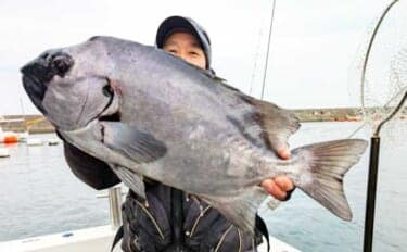 【沖釣り釣果速報】石鯛五目で3kg級イシダイ登場！　大分沖で多彩魚種ヒット（大分・熊本）