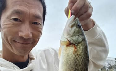 スプーンを巻くだけでブラックバス6匹釣れた!【埼玉・古利根川】秋は巻きで釣れ