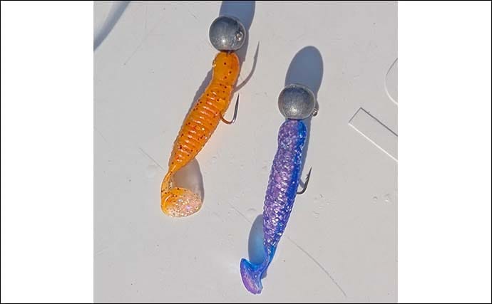 内房・外房エリアでのカマスゲームで本命と対面成功【千葉】回遊は気まぐれか