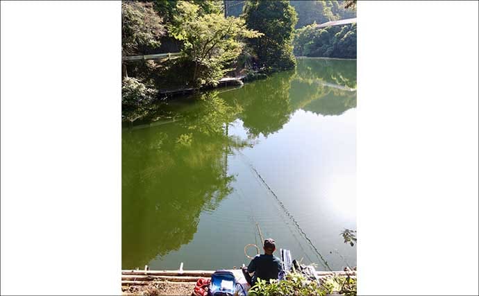 今週のヘラブナ推薦釣り場2025【埼玉・鎌北湖】