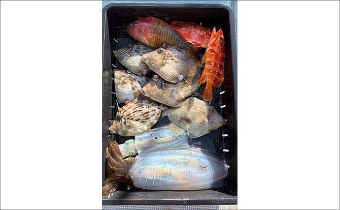 【沖のルアー釣果速報】トンジギで24kg級巨大タネトン浮上！カツオもヒット（三重）