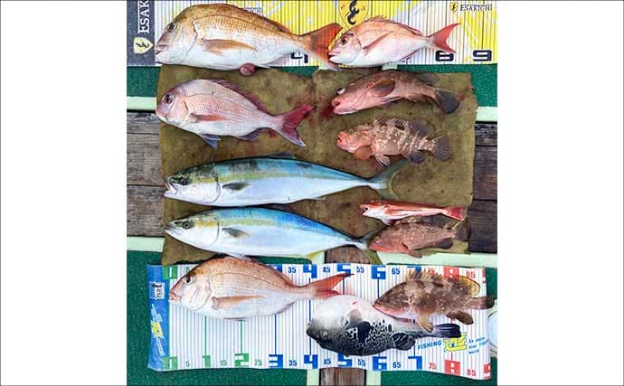 【沖のルアー釣果速報】トンジギで24kg級巨大タネトン浮上！カツオもヒット（三重）