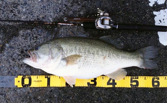 あたり前に使ってるけど意外と知らない【SICリングのメリット・デメリット】