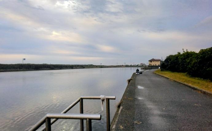 落ちハゼ釣りで13cm頭にマハゼ9匹をキャッチ【千葉】釣れれば良型率高め