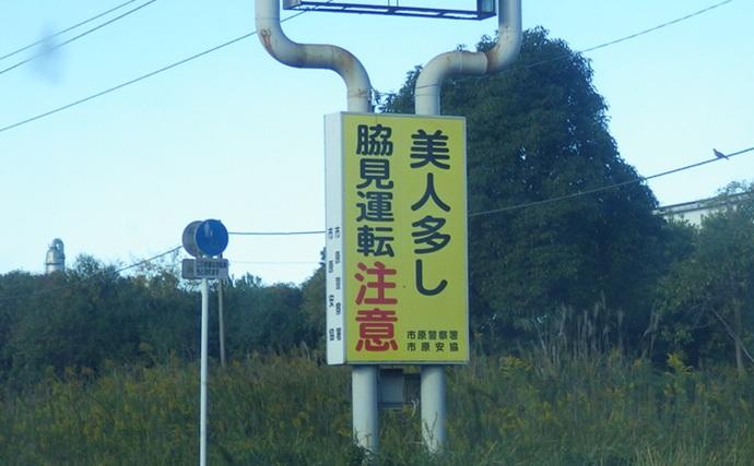 落ちハゼ釣りで13cm頭にマハゼ9匹をキャッチ【千葉】釣れれば良型率高め