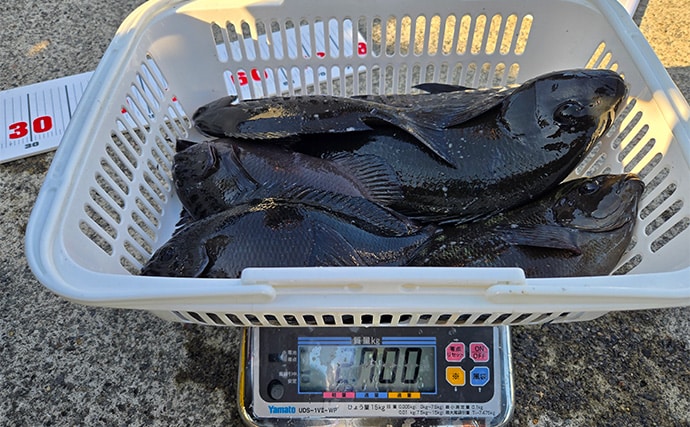 「第9回TFT関東・東レ懇親磯釣り大会IN下田」に参戦　強風に苦戦も37.5cmメジナを釣り上げる