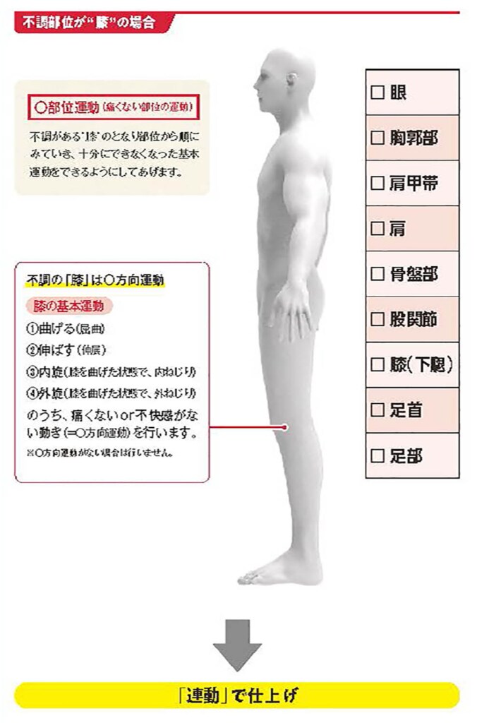 不調部位が腰の場合【スポーツ障害予防の教科書】