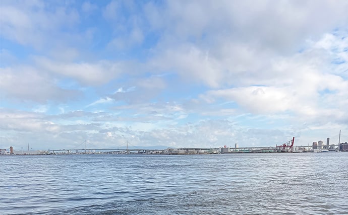 ライトショアジギング超入門(LSJ) 天気と潮回りで魚の釣れやすさが変わるって本当?