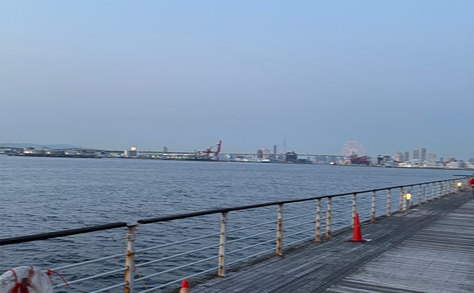 ライトショアジギング超入門(LSJ) 天気と潮回りで魚の釣れやすさが変わるって本当?