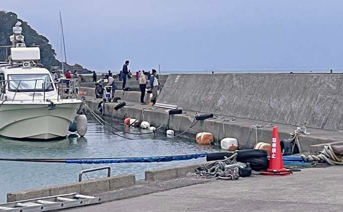 堤防ライトルアー釣りでカマス4尾【千葉・富浦新港】ただ巻きとシャクリ織り混ぜ手中