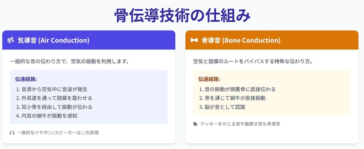 骨伝導技術の基本 - なぜ「骨」で音が聞こえるのか?1