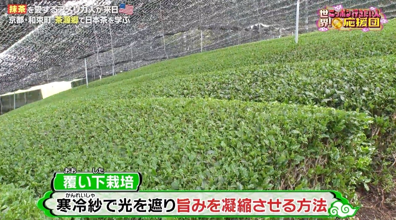 記事画像