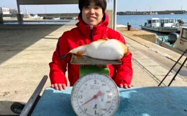 カットウフグ釣りで1.3kg良型ヒガンフグ手中【愛知・おざき丸】自作の特エサが的中？
