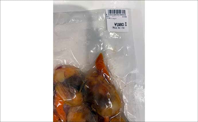 カットウフグ釣りで1.3kg良型ヒガンフグ手中【愛知・おざき丸】自作の特エサが的中？