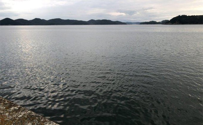 陸っぱりヒラメゲームのついでにシーバスを狙ったら入れ食い！　使用ルアーは『IJ16』のみ