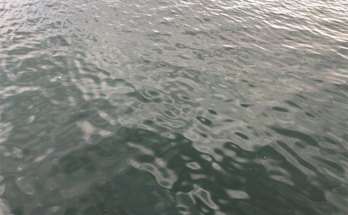 陸っぱりヒラメゲームのついでにシーバスを狙ったら入れ食い！　使用ルアーは『IJ16』のみ