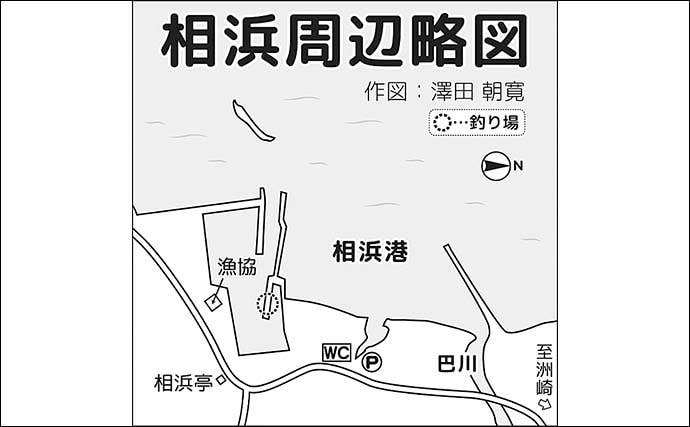 サビキ釣りに切り替えてサッパ12尾キャッチ【千葉・相浜港】クロダイ狙いはフグ猛攻で苦戦