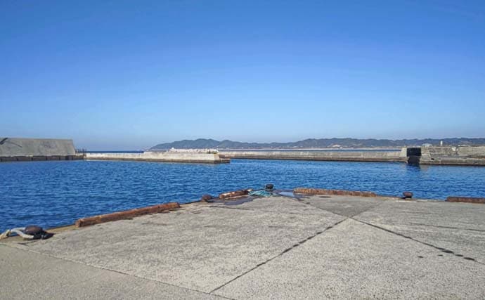 サビキ釣りに切り替えてサッパ12尾キャッチ【千葉・相浜港】クロダイ狙いはフグ猛攻で苦戦