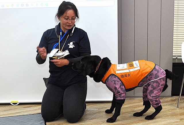 M&Aや障がい者支援に活用が期待されるAI 後継者・聴導犬の不足に対応 聴導犬の模範実演